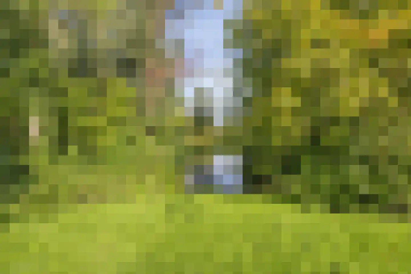 Alerdincksingel 127 Rotterdam thumbnail 29