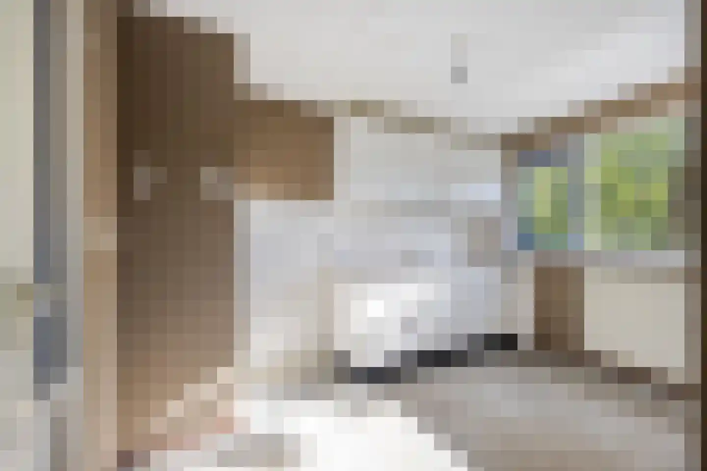 Alerdincksingel 127 Rotterdam thumbnail 6