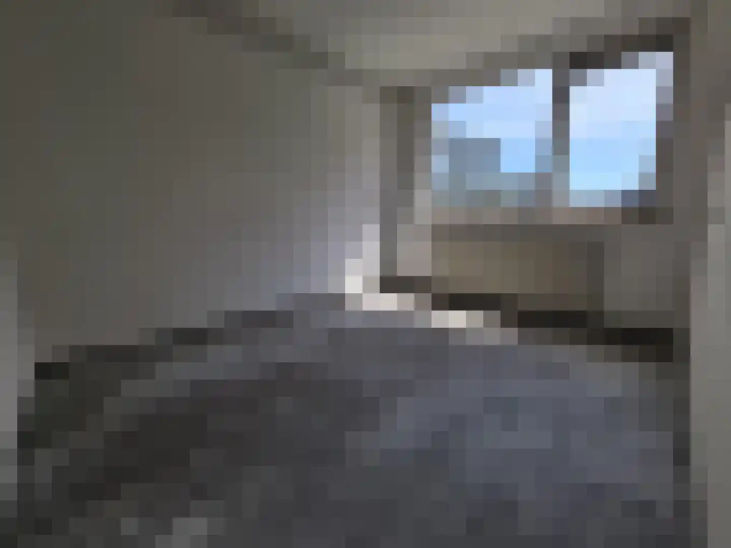 Alerdincksingel 19 Rotterdam thumbnail 16