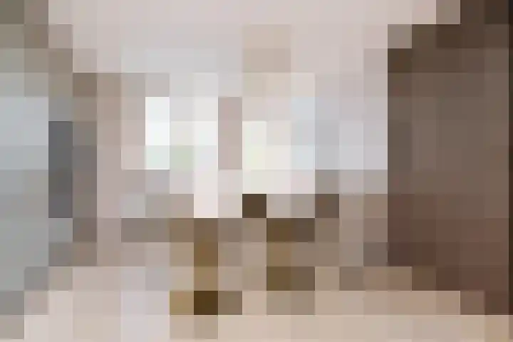Alerdincksingel 20 Rotterdam thumbnail 10
