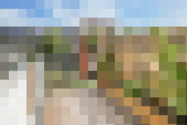 Alerdincksingel 20 Rotterdam thumbnail 24