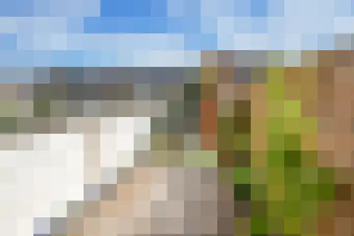 Alerdincksingel 20 Rotterdam thumbnail 25