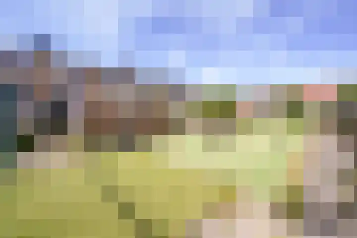 Alerdincksingel 20 Rotterdam thumbnail 26
