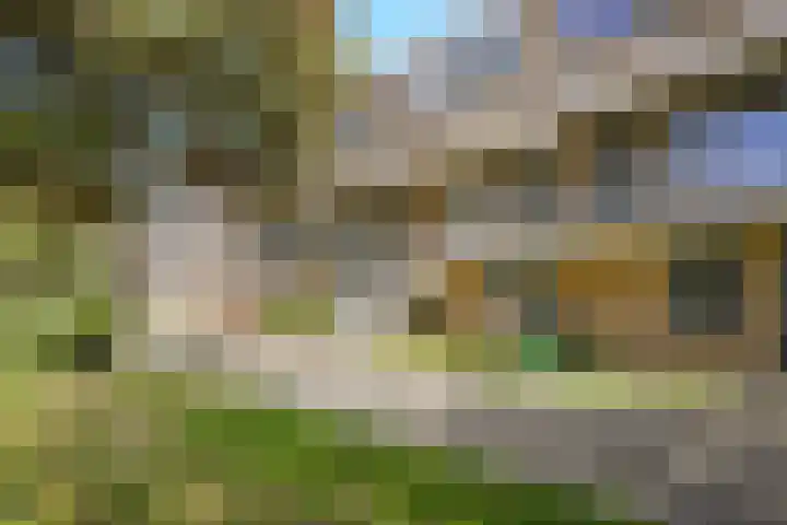Alerdincksingel 20 Rotterdam thumbnail 27