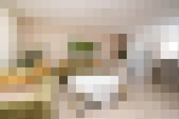 Alerdincksingel 20 Rotterdam thumbnail 33