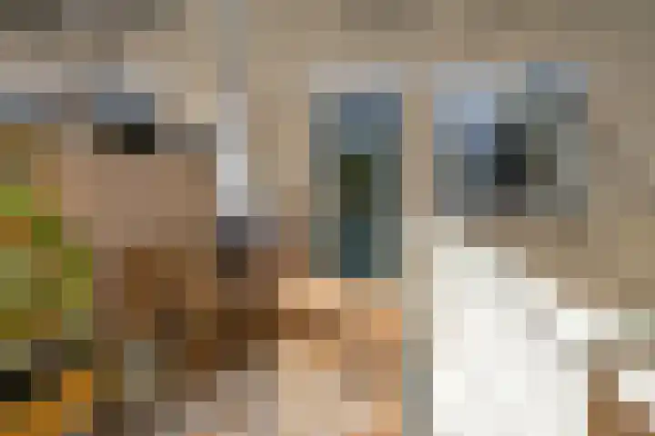 Alerdincksingel 20 Rotterdam thumbnail 6