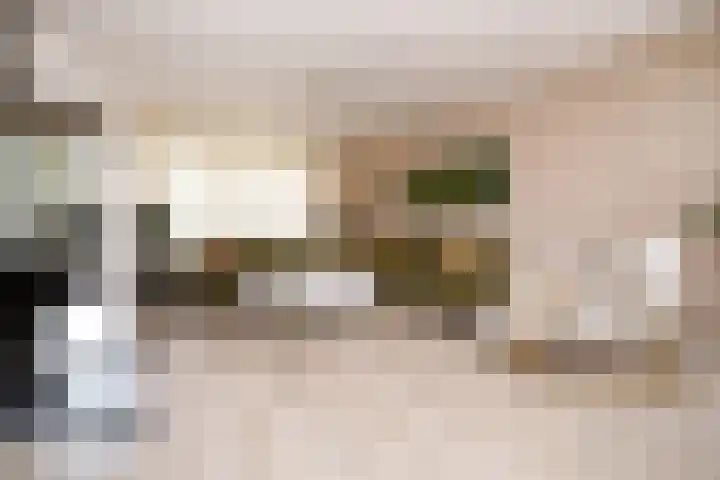 Alerdincksingel 20 Rotterdam thumbnail 7