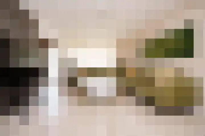 Alerdincksingel 20 Rotterdam thumbnail 8