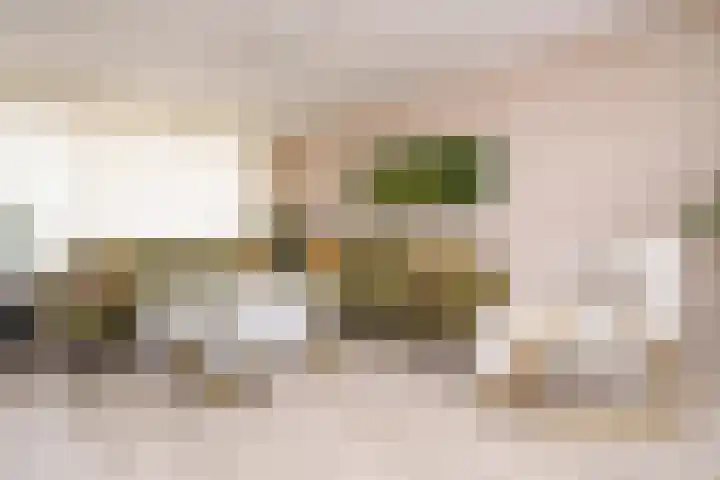 Alerdincksingel 20 Rotterdam thumbnail 9