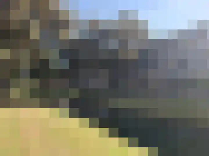 Alerdincksingel 65 Rotterdam thumbnail 12