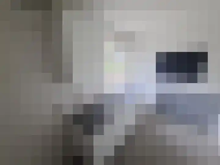 Alerdincksingel 65 Rotterdam thumbnail 6
