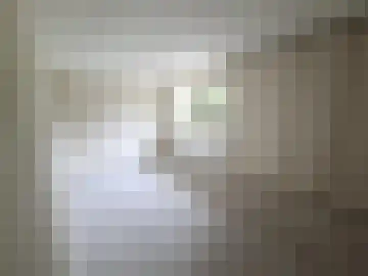 Alerdincksingel 65 Rotterdam thumbnail 7