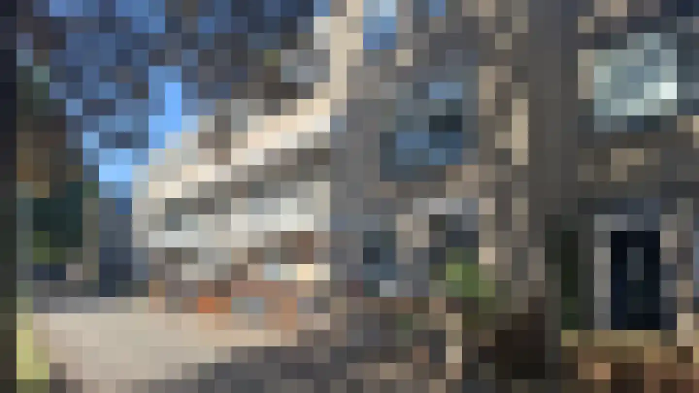 Alerdincksingel 75 Rotterdam thumbnail 12