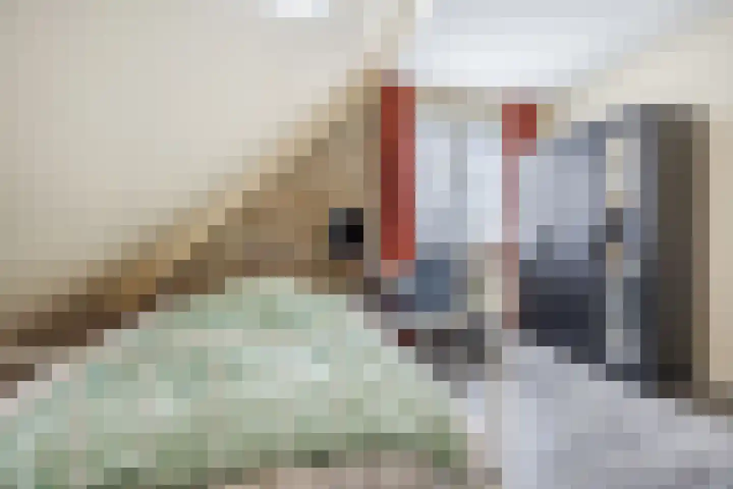 Alerdincksingel 9 Rotterdam thumbnail 20