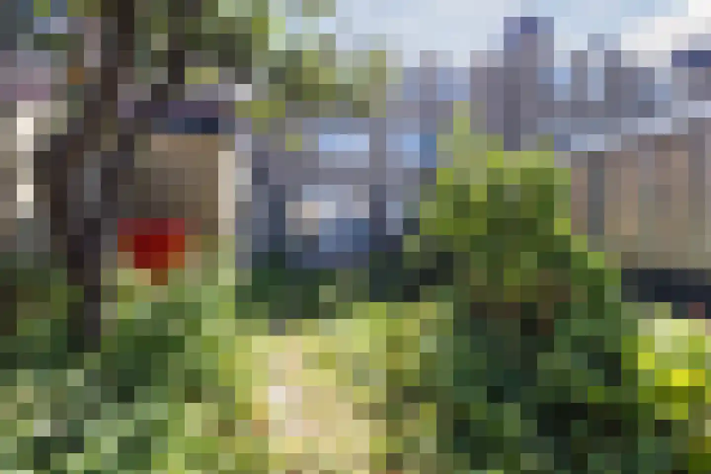 Alerdincksingel 9 Rotterdam thumbnail 23