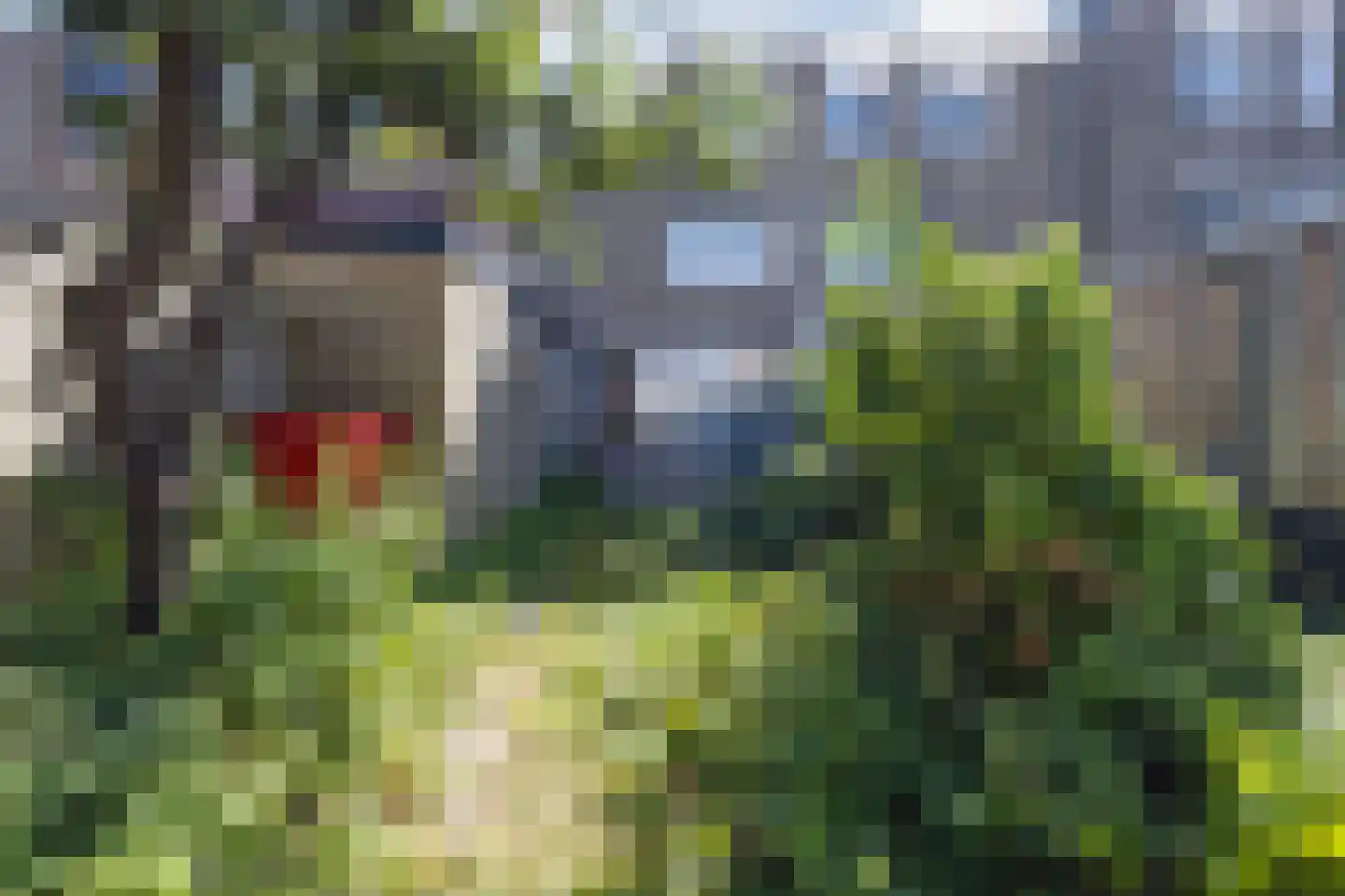 Alerdincksingel 9 Rotterdam thumbnail 24