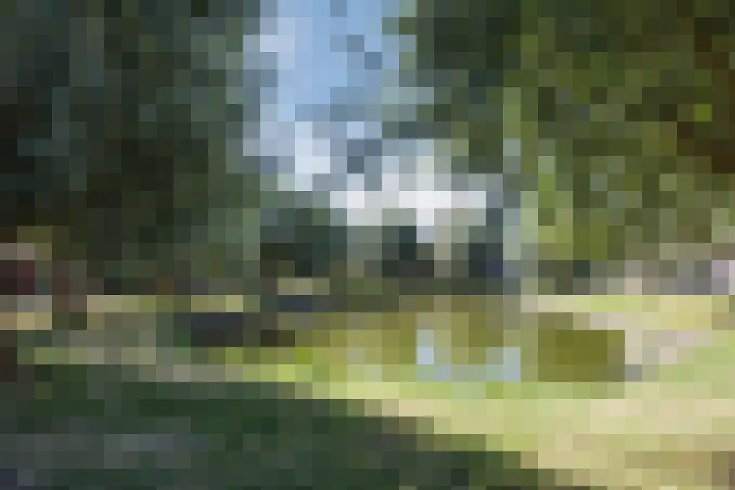 Alerdincksingel 9 Rotterdam thumbnail 29