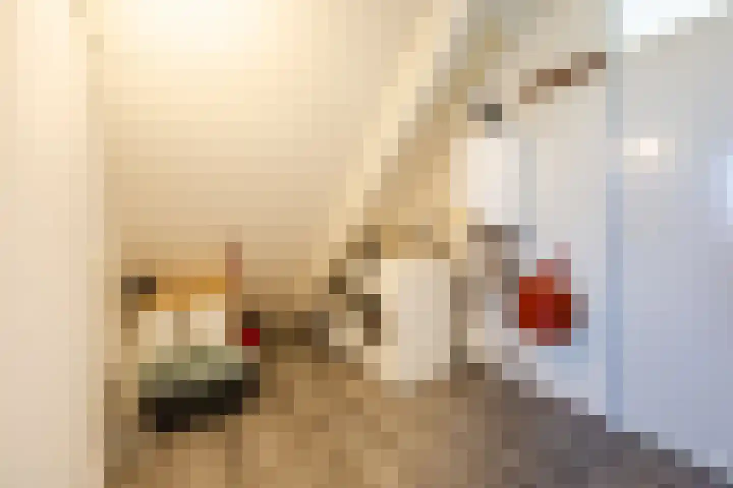 Alerdincksingel 9 Rotterdam thumbnail 32
