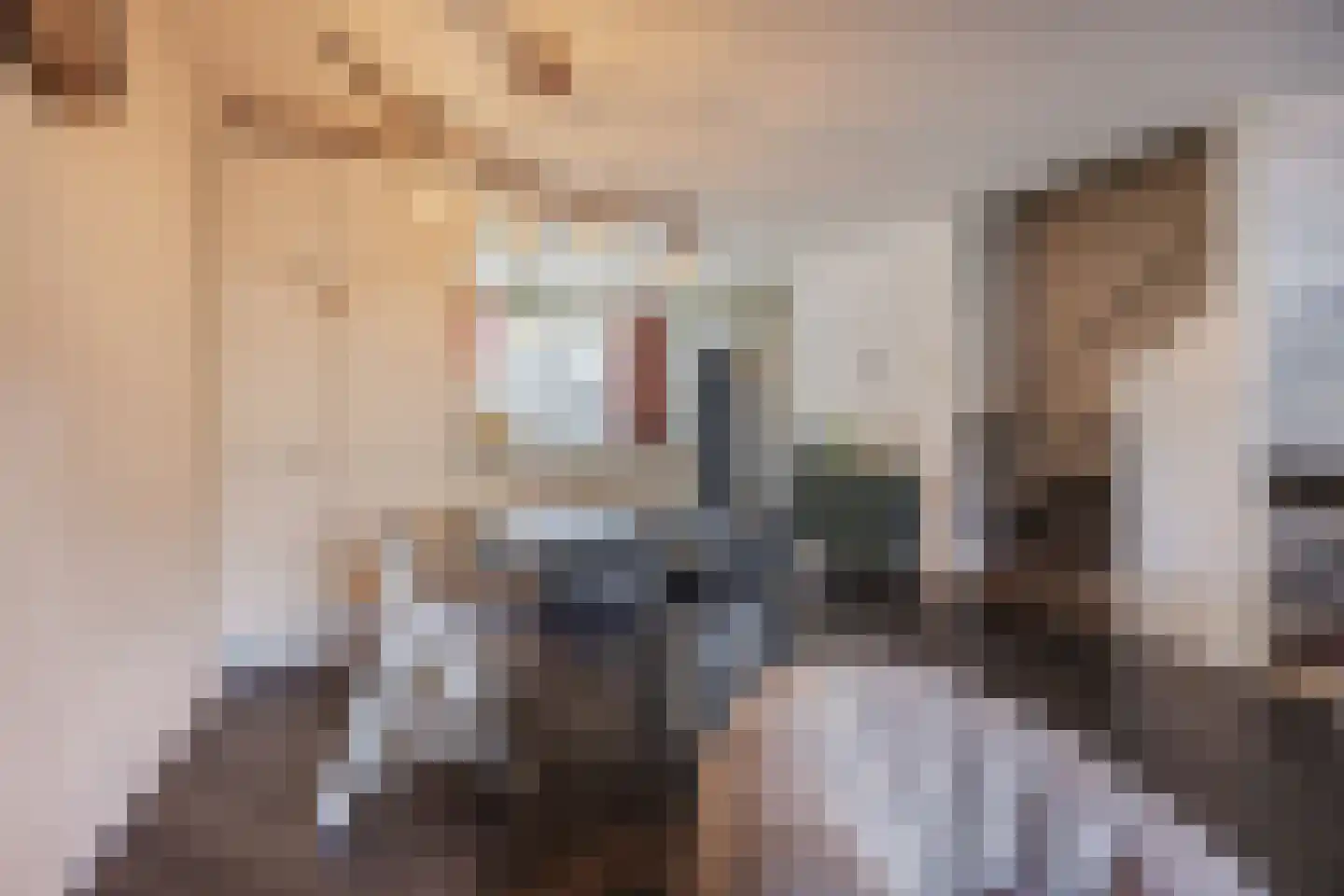 Alerdincksingel 9 Rotterdam thumbnail 9