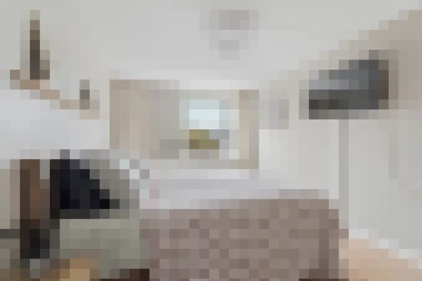 Alessandria 10 Zevenaar thumbnail 20
