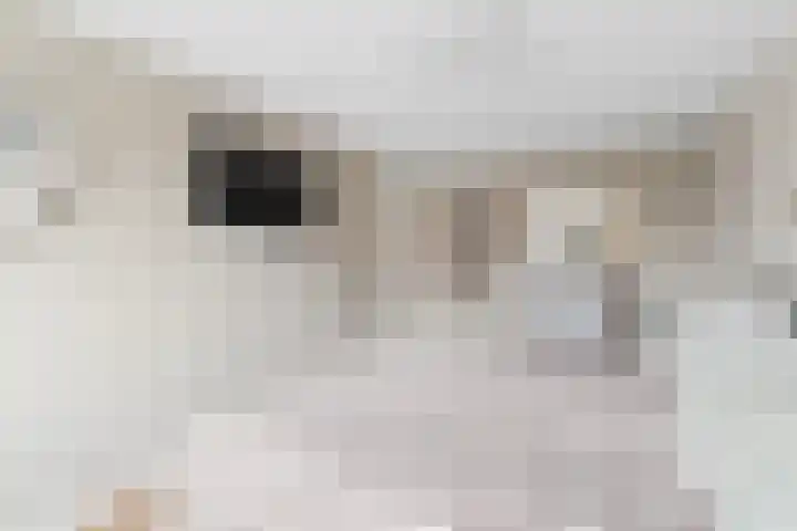 Alessandria 10 Zevenaar thumbnail 21