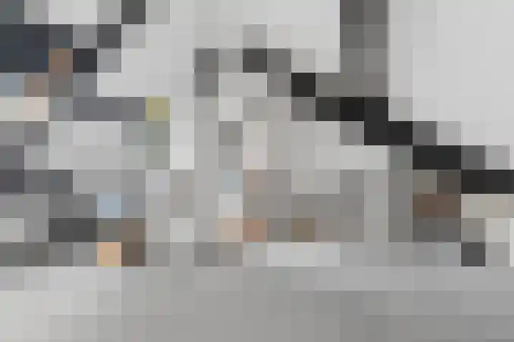 Alessandria 10 Zevenaar thumbnail 29