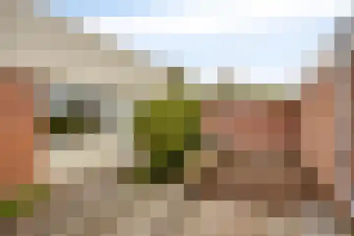 Alessandria 10 Zevenaar thumbnail 31