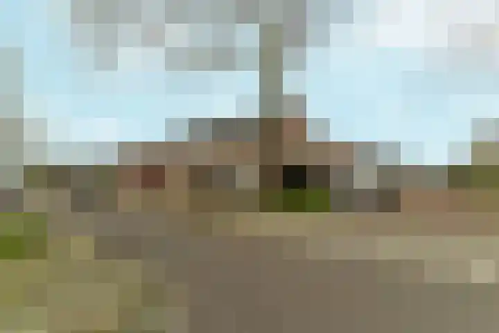 Alessandria 10 Zevenaar thumbnail 35