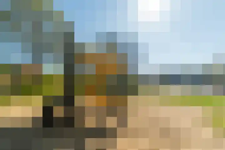 Alessandria 10 Zevenaar thumbnail 37