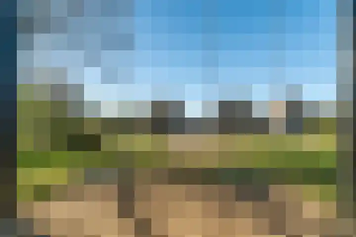 Alessandria 10 Zevenaar thumbnail 38