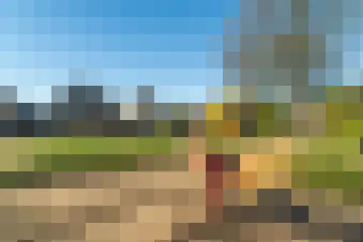 Alessandria 10 Zevenaar thumbnail 39