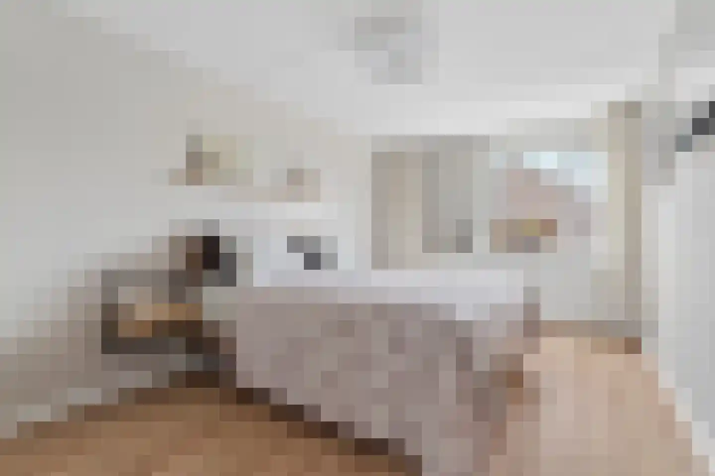 Alessandria 10 Zevenaar thumbnail 4