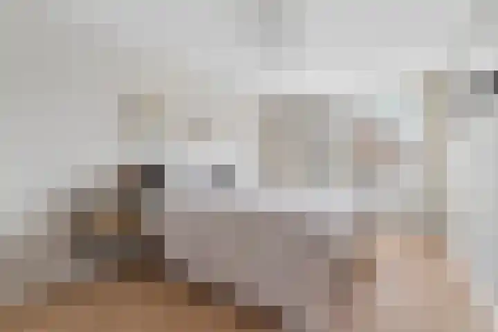 Alessandria 10 Zevenaar thumbnail 4