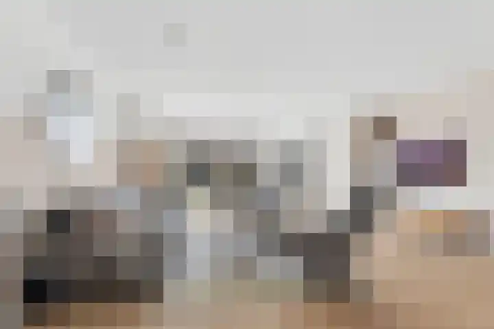 Alessandria 10 Zevenaar thumbnail 8