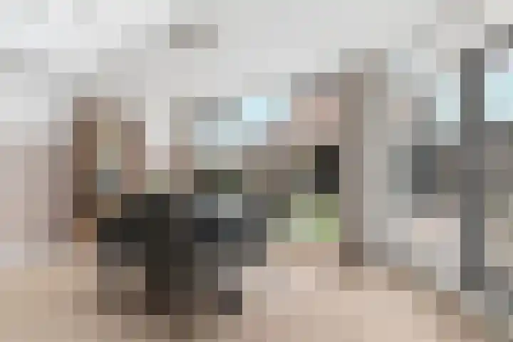 Alessandria 10 Zevenaar thumbnail 9