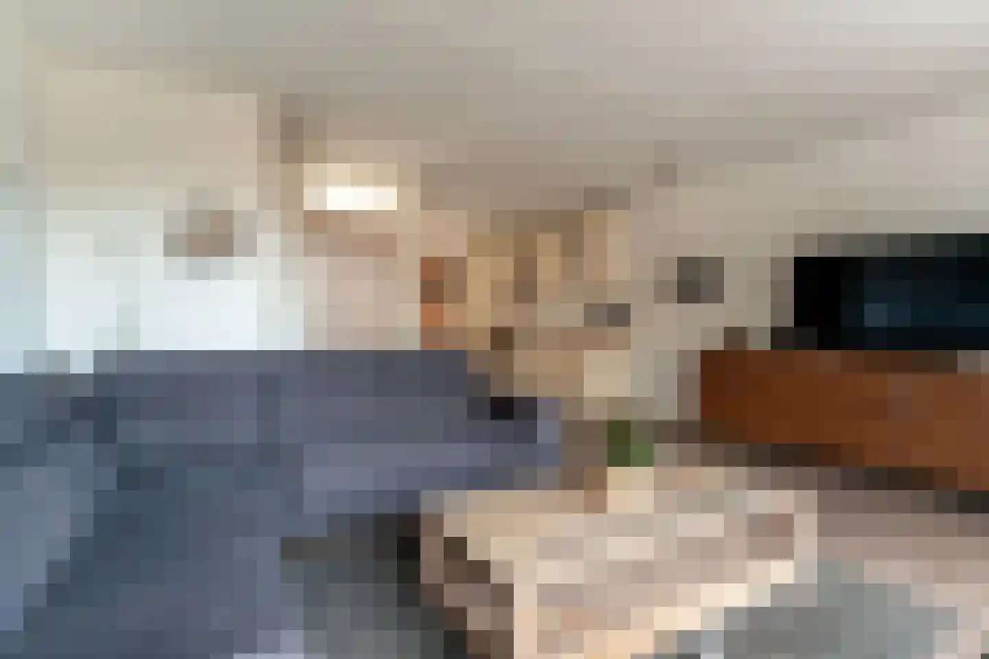 Alessandria 14 Zevenaar thumbnail 12