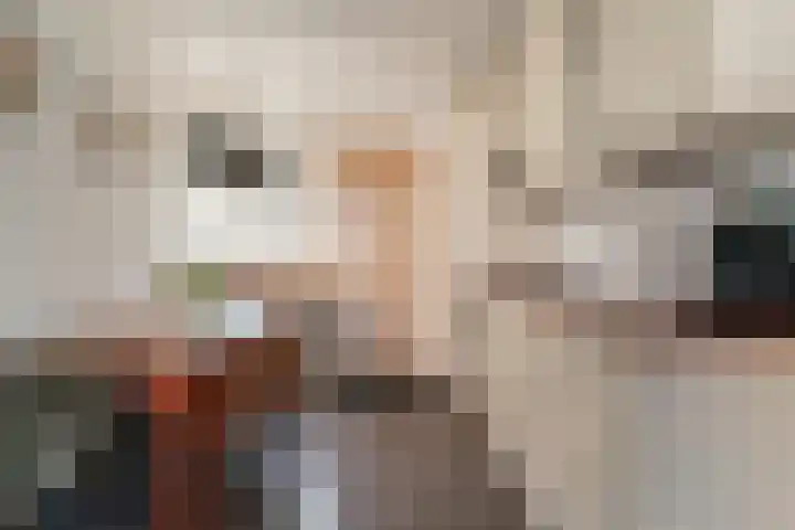 Alessandria 14 Zevenaar thumbnail 14