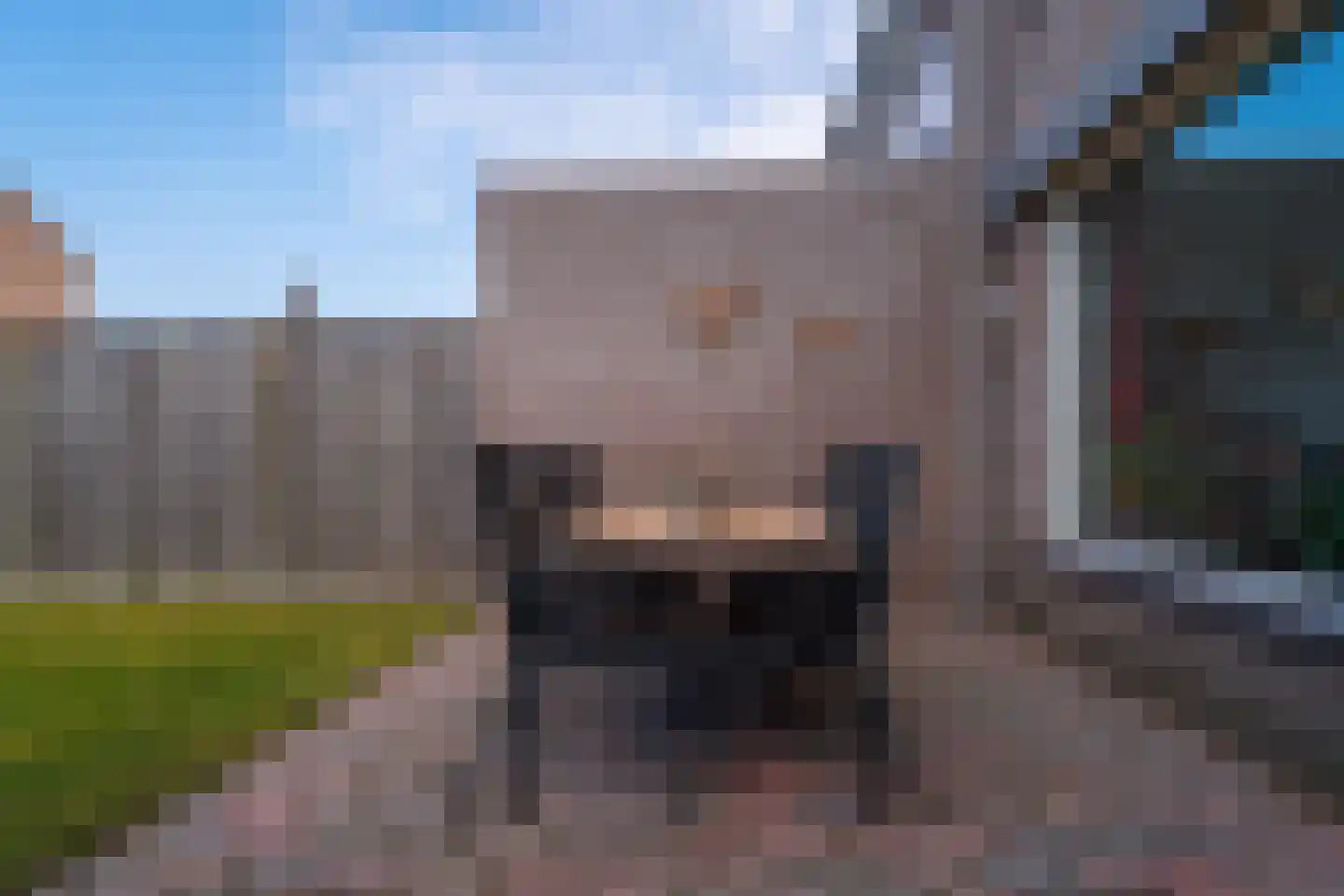 Alessandria 14 Zevenaar thumbnail 18