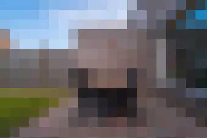 Alessandria 14 Zevenaar thumbnail 18