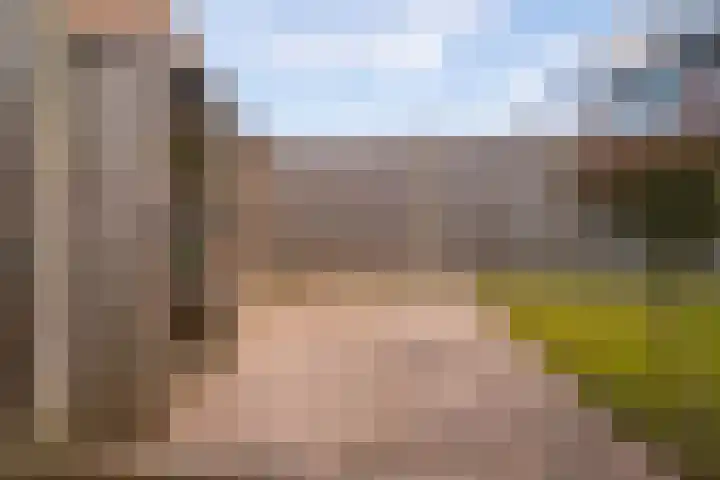 Alessandria 14 Zevenaar thumbnail 21