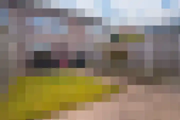Alessandria 14 Zevenaar thumbnail 22