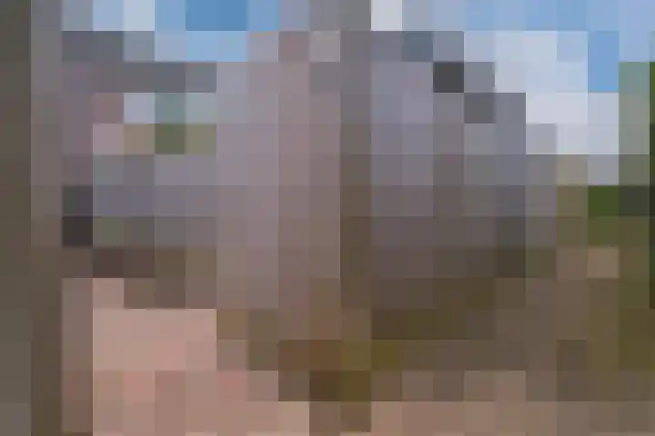 Alessandria 14 Zevenaar thumbnail 24