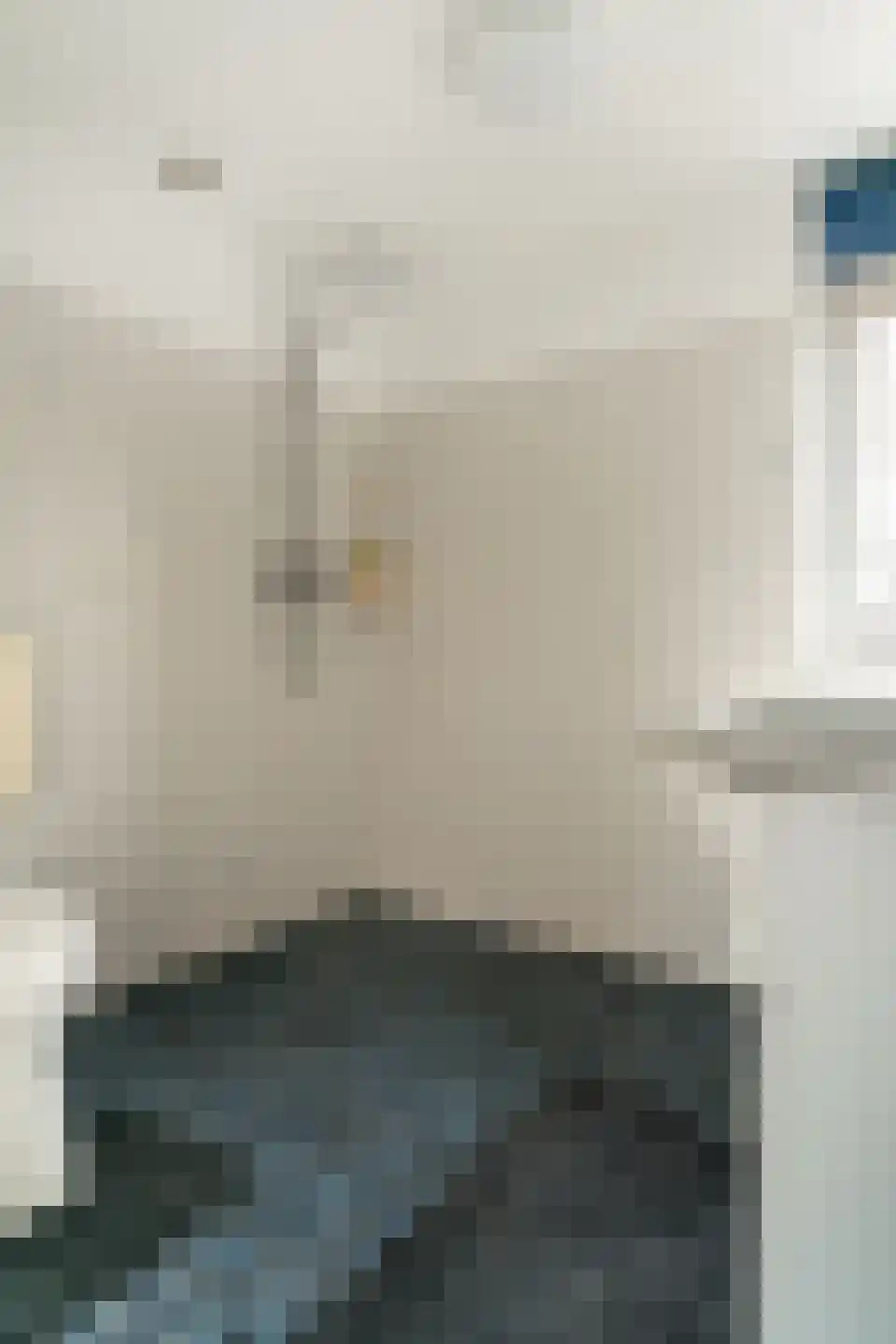 Alessandria 14 Zevenaar thumbnail 28