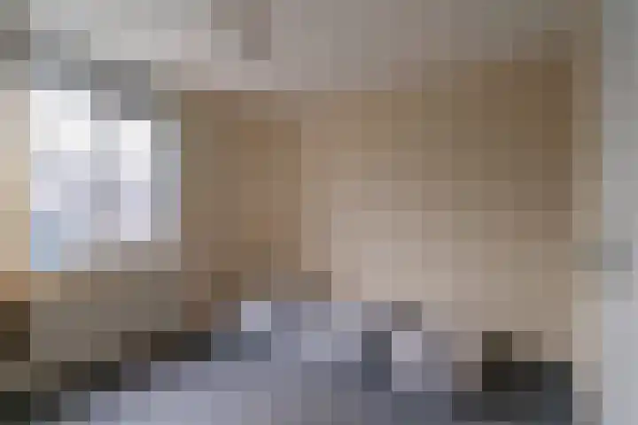 Alessandria 14 Zevenaar thumbnail 30