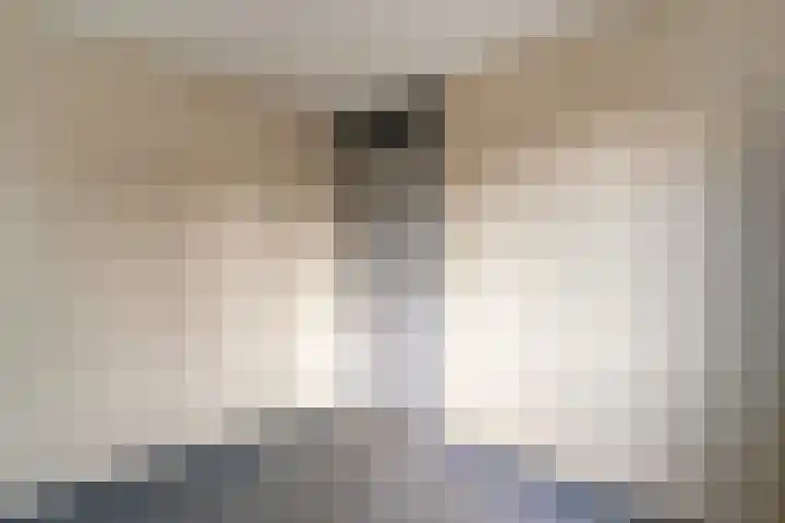 Alessandria 14 Zevenaar thumbnail 32