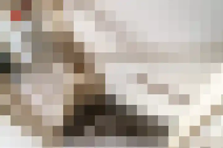 Alessandria 14 Zevenaar thumbnail 37