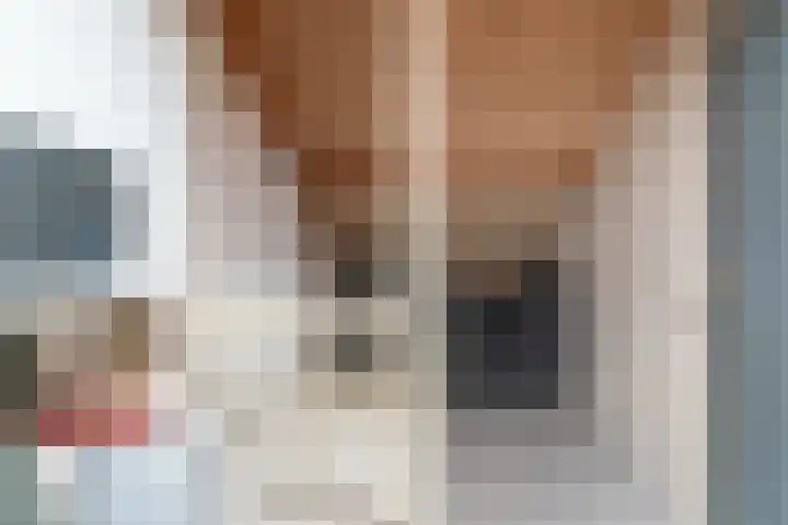 Alessandria 14 Zevenaar thumbnail 38