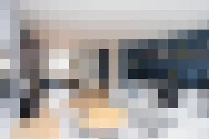 Alet Schoutensingel 14 Berkel en Rodenrijs thumbnail 10