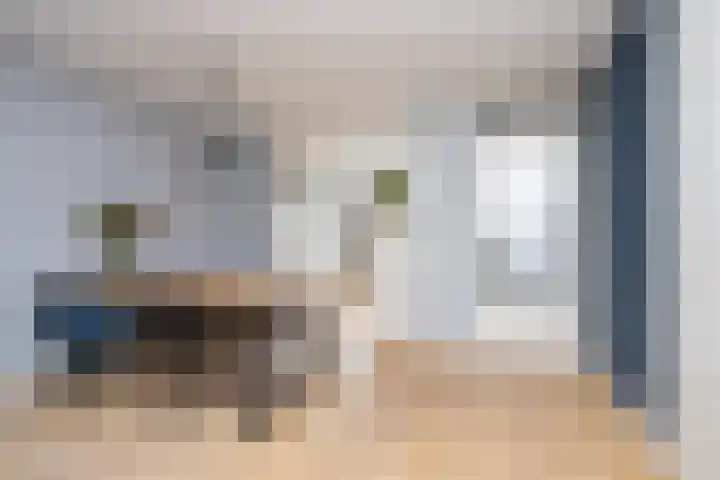 Alet Schoutensingel 14 Berkel en Rodenrijs thumbnail 12