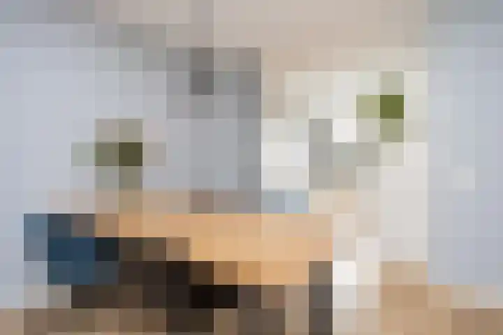 Alet Schoutensingel 14 Berkel en Rodenrijs thumbnail 13